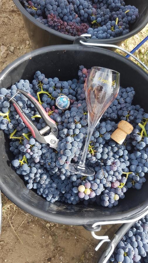 Enjoy En Champagne Maison Calme Au Milieu Du Vignoble Avec Parking Gratuit Dormans Exteriér fotografie