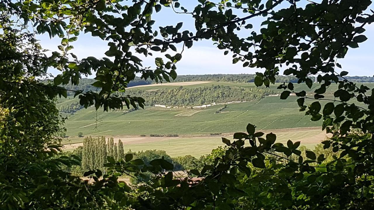 Enjoy En Champagne Maison Calme Au Milieu Du Vignoble Avec Parking Gratuit Dormans Exteriér fotografie